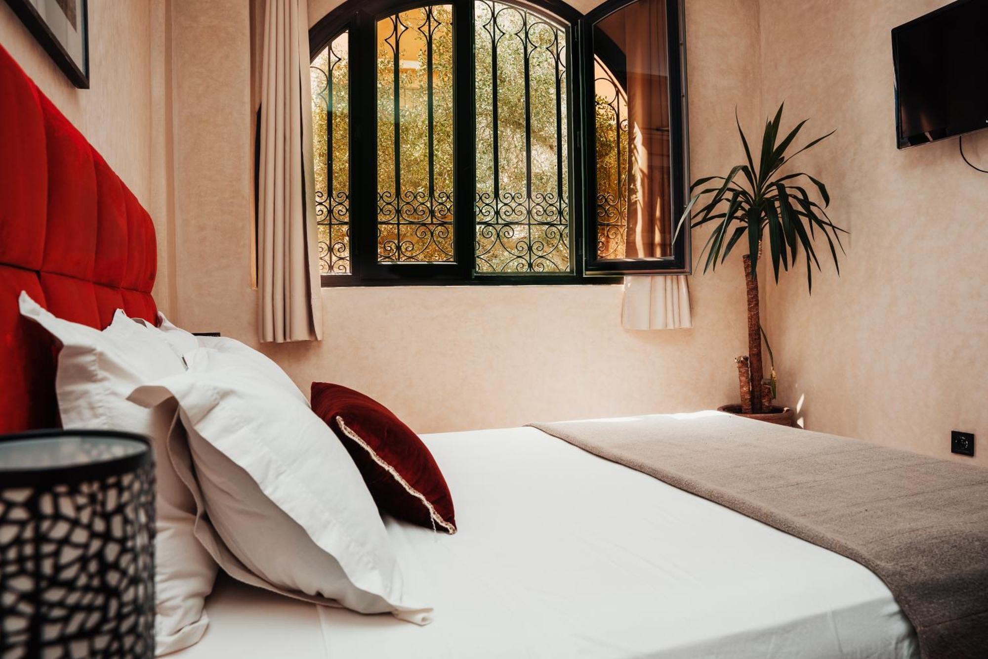 Auberge Riad Dlim Tamraght Экстерьер фото